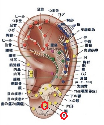 精 疲労 対処 眼